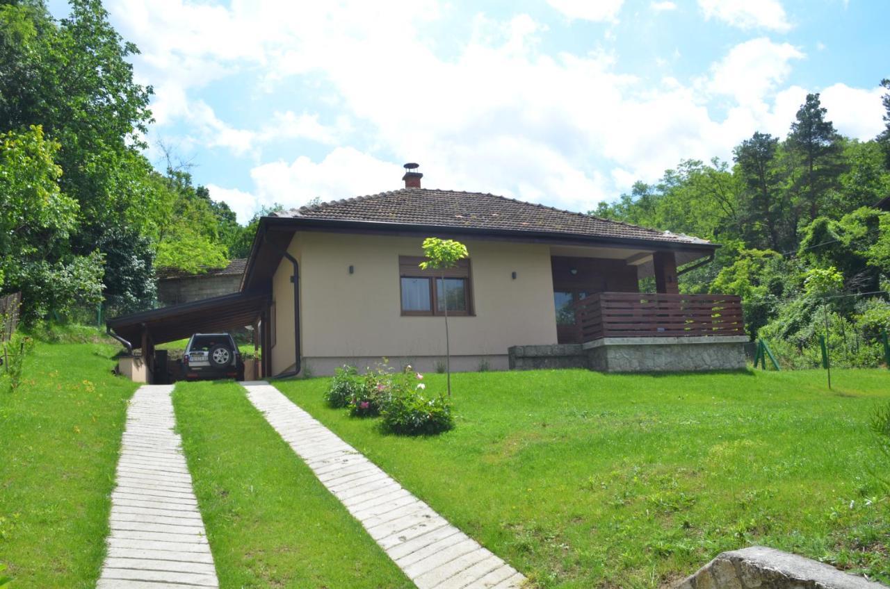 Babakaj Villa Golubac Esterno foto