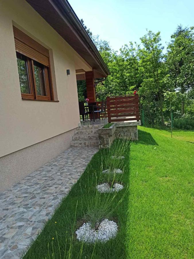 Babakaj Villa Golubac Esterno foto