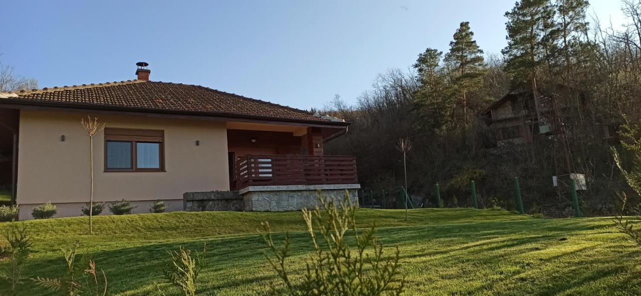 Babakaj Villa Golubac Esterno foto